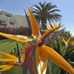 Alpino Atlantico Ayurveda Cure Centre Adults Only Hotel 4*