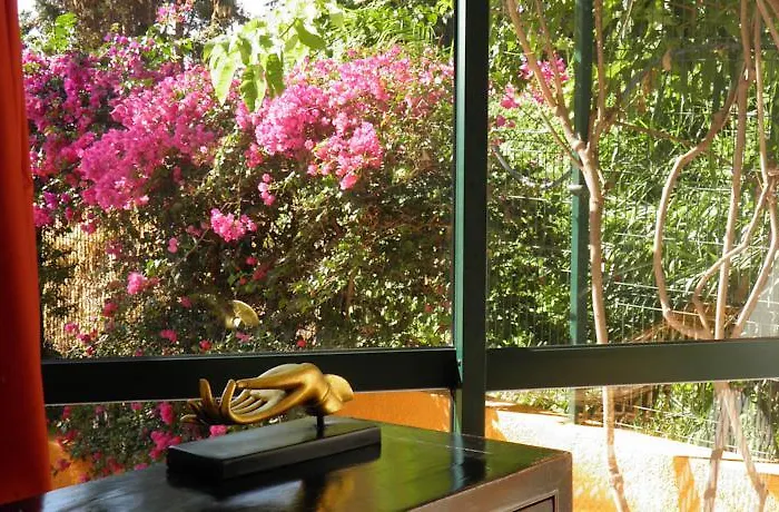 Galo Resort Hotel Alpino Atlantico (Adults Only) 4* Canico (Madeira)