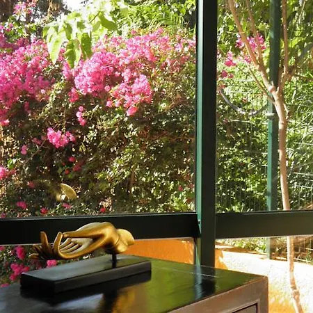 Alpino Atlantico (adults Only) 4* Canico (Madeira)