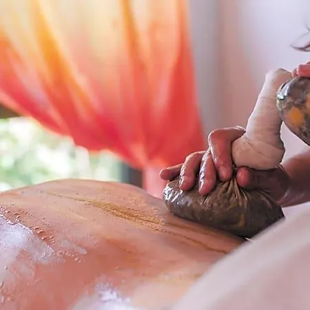 فندق Alpino Atlantico Ayurveda Cure Centre Adults Only كانيكو