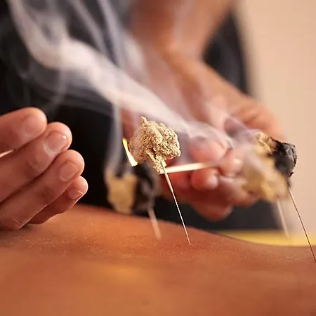 Alpino Atlantico Ayurveda Cure Centre Adults Only 4*