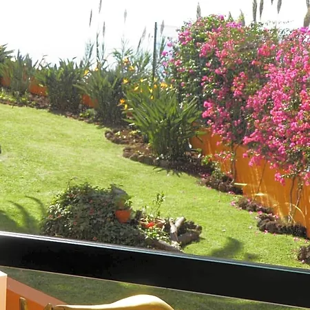 Alpino Atlantico Ayurveda Cure Centre Adults Only 4* كانيكو